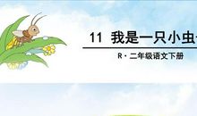 假如我是一只小虫子