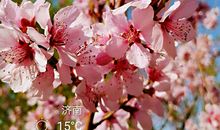 与春光相伴的日子