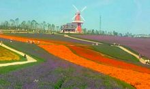 藏于掌心的记忆