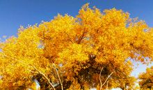 遇见最美的秋天