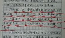 写一篇植物的作文