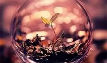 为了心中的温暖