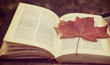 那一样东西，改变了我