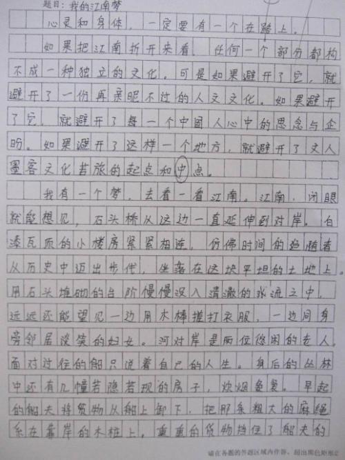 如果我有什么作文