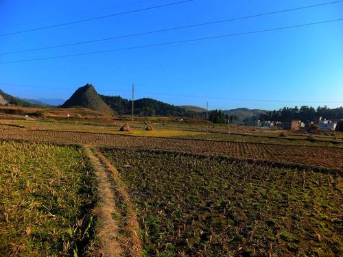 田野风光