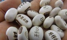 神奇的豆子