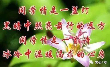 一个让我难忘的同学