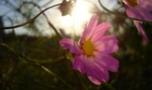 感受阳光的味道