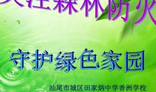 护林防火从我做起