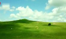 美丽的草原我的家作文