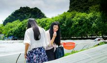 那次勇敢的尝试