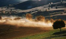 与温柔相伴的日子