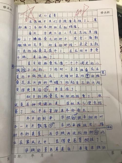 朴真美三年级