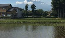 我向往的乡村生活