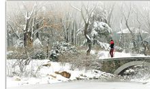 济南的冬天真冷