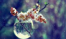 生命的脚步不会停留