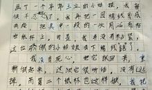 三年级我做了一项小实验作文