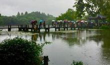 忆游西湖