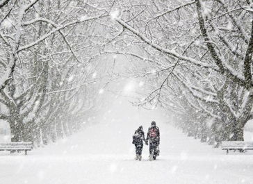 雪的诗