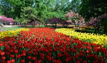 风景优美的植物园