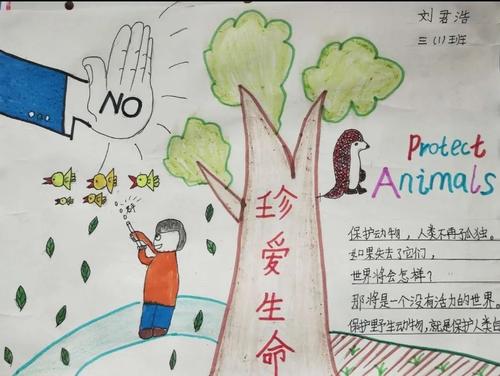 爱动物，珍惜生命