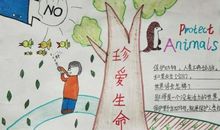 爱护动物，珍爱生命