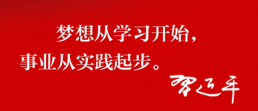 学习能力