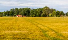 迷人的乡村生活