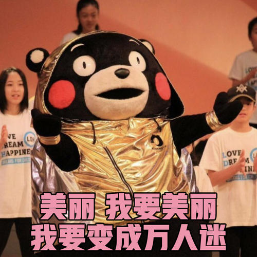 我是什么粉丝