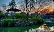 苏州园林读后感