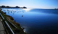 我到过最远的地方