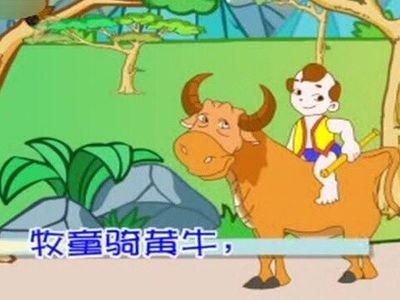 你看到什么了