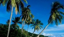 随心而去，岂非绚烂