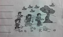 请爱护小鸟看图写话