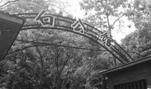 小萝卜头的故事童话故事