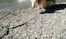 如今，才知道友情的可贵