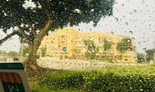 雨天，我想起了那件事