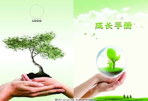 两个树苗