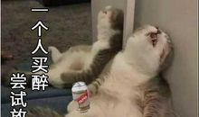 我是一个勇于尝试的人