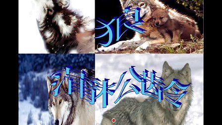 用屠夫的口气改写狼