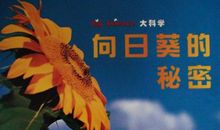 向日葵的秘密
