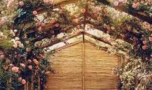 与阳光相伴的日子