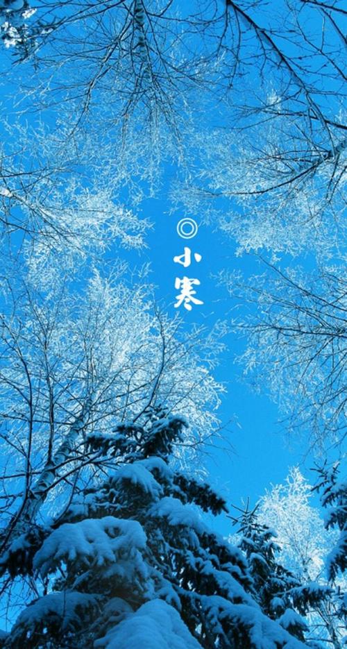 时光倒流