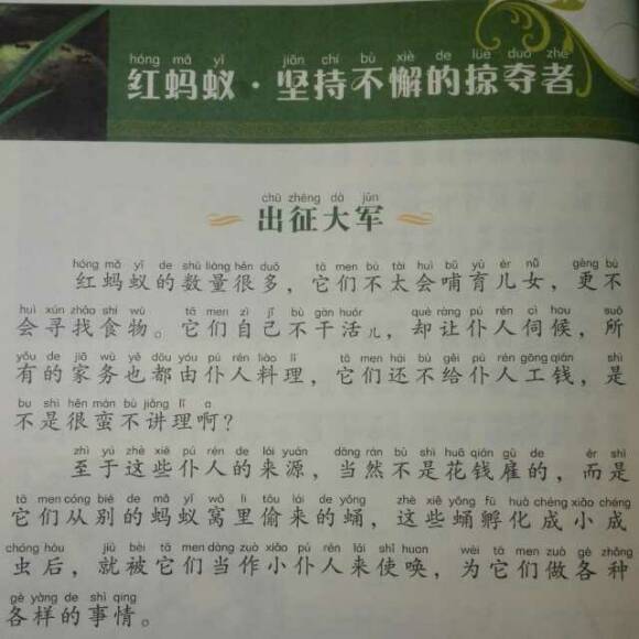 关于阅读“蚂蚁加油”的思考