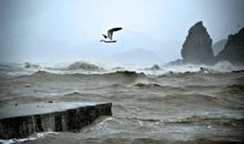 我想让雨下得更大些