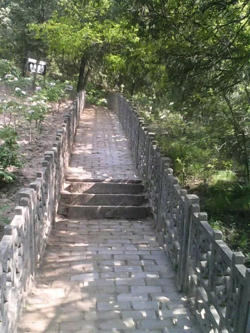 我家乡前的路径