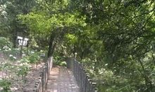 老家门前的小路