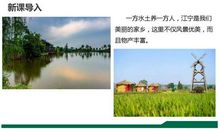 我最可敬最可亲的人