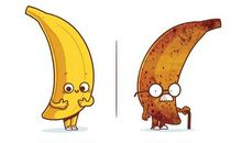 如果万物都会说话