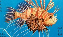 一次难忘的观影